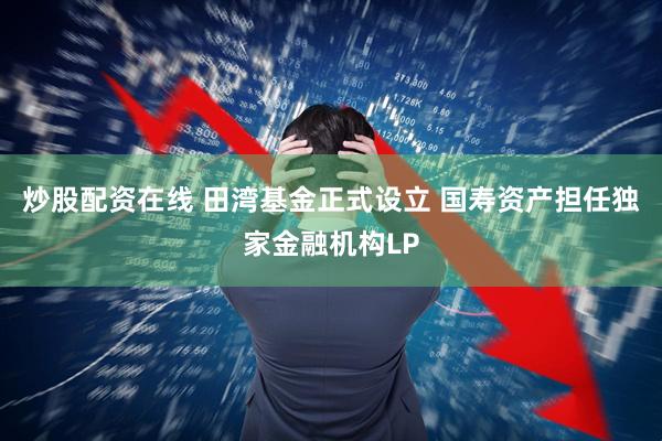 炒股配资在线 田湾基金正式设立 国寿资产担任独家金融机构LP