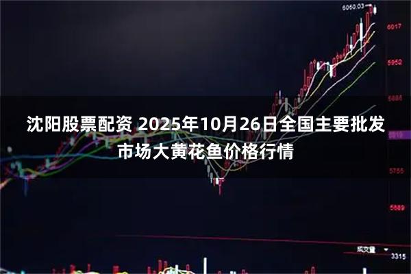 沈阳股票配资 2025年10月26日全国主要批发市场大黄花鱼价格行情