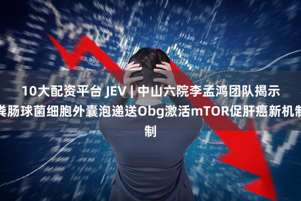 10大配资平台 JEV | 中山六院李孟鸿团队揭示粪肠球菌细胞外囊泡递送Obg激活mTOR促肝癌新机制